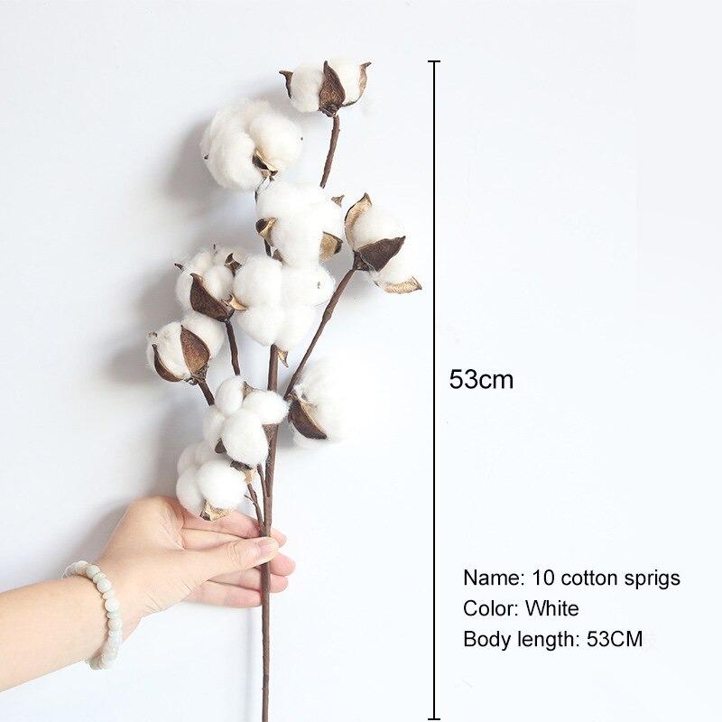 Artifical Flower Props: Naturally Dried Cotton Flower (10 heads) Prop Club 